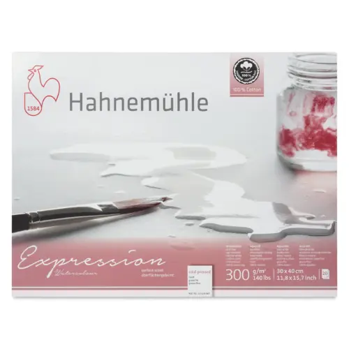Block Hahnemühle Expression 100% Algodon 20 hojas