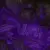 Dioxazine Purple